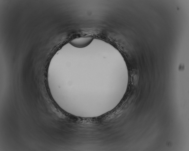 X0000101201393200807181523