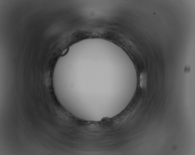 X0000101201395200807181523