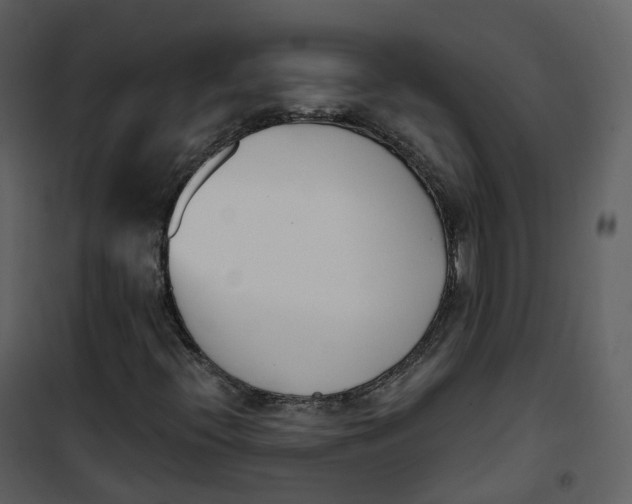 X0000101201396200807181523