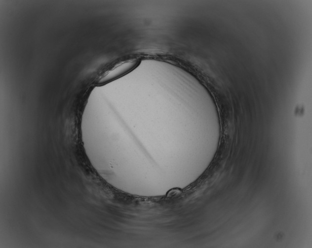 X0000101201398200807181524