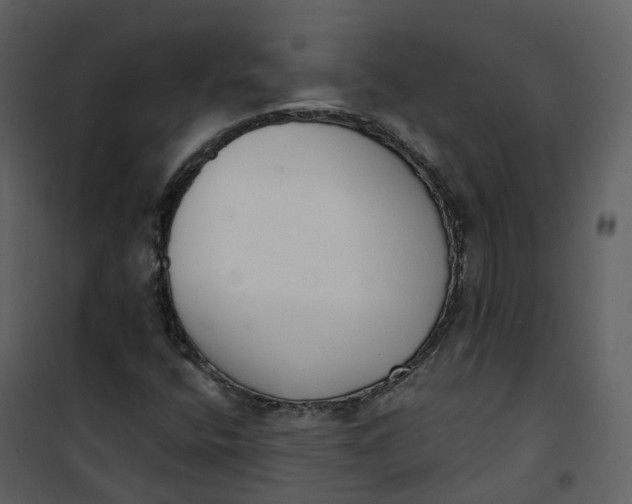 X0000101201400200807181524