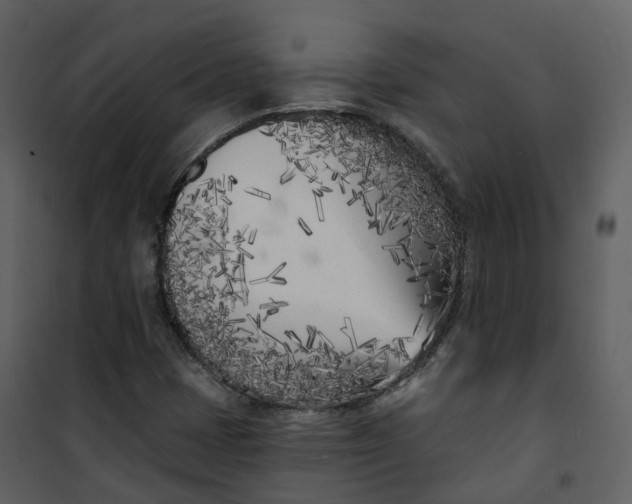 X0000101201401200807181524