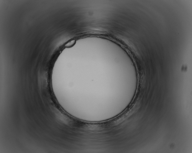 X0000101201402200807181524