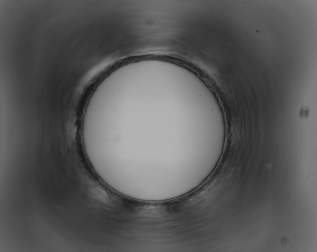 X0000101201406200807181524