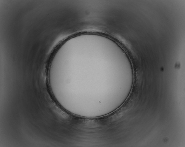 X0000101201408200807181524