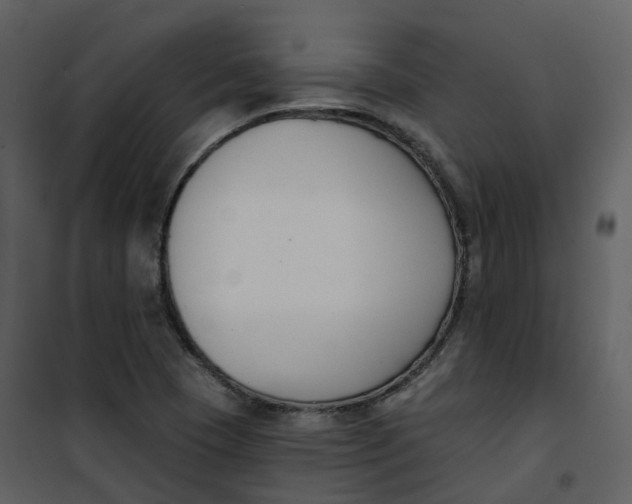 X0000101201409200807181524