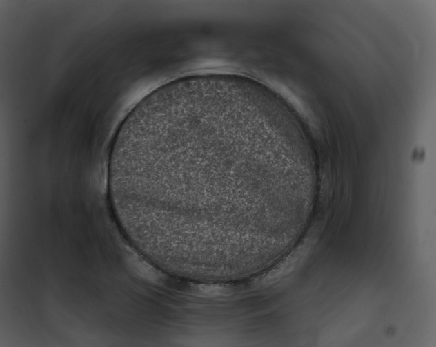 X0000101201413200807181524