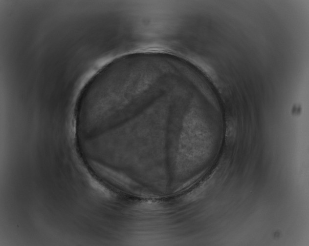 X0000101201414200807181524