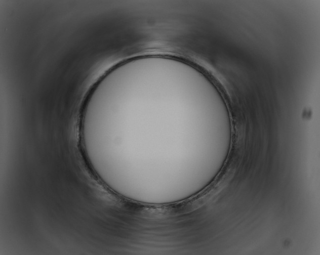 X0000101201415200807181524