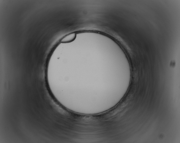 X0000101201416200807181524