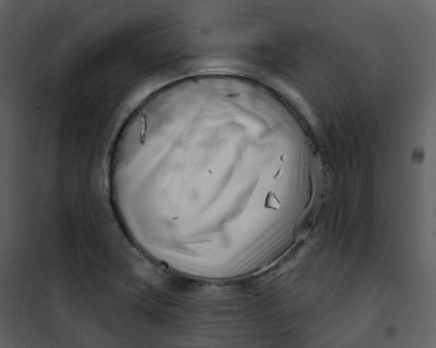 X0000101201419200807181524