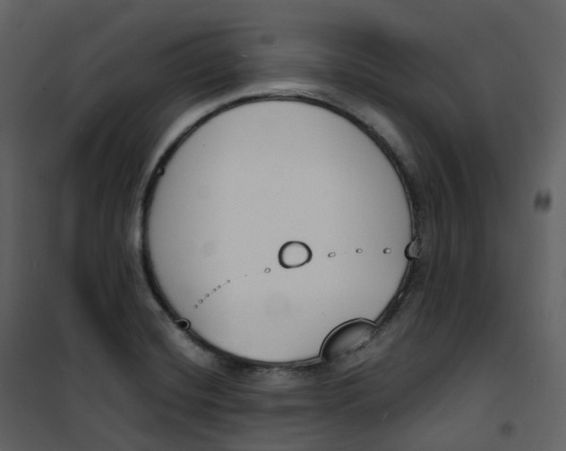 X0000101201420200807181524