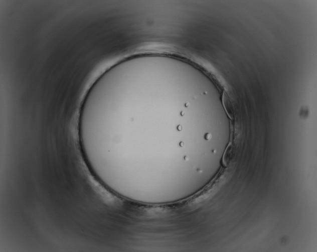 X0000101201421200807181524