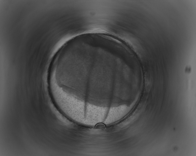 X0000101201422200807181524