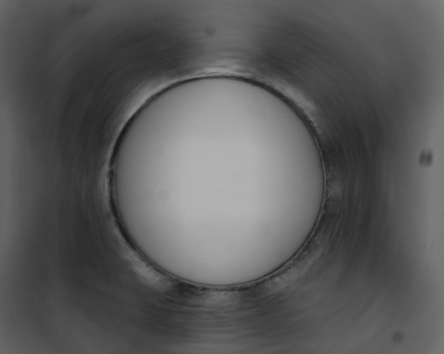 X0000101201423200807181524