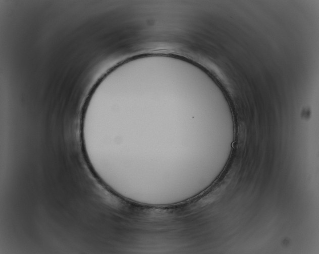 X0000101201424200807181524