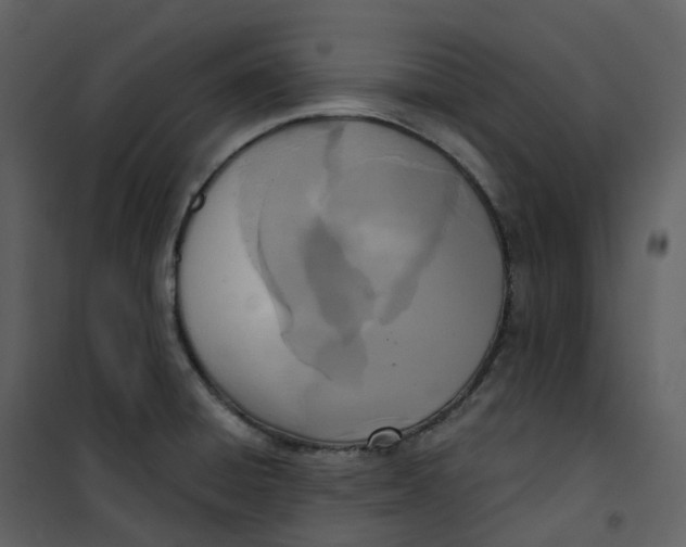 X0000101201428200807181524