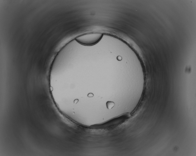 X0000101201429200807181524