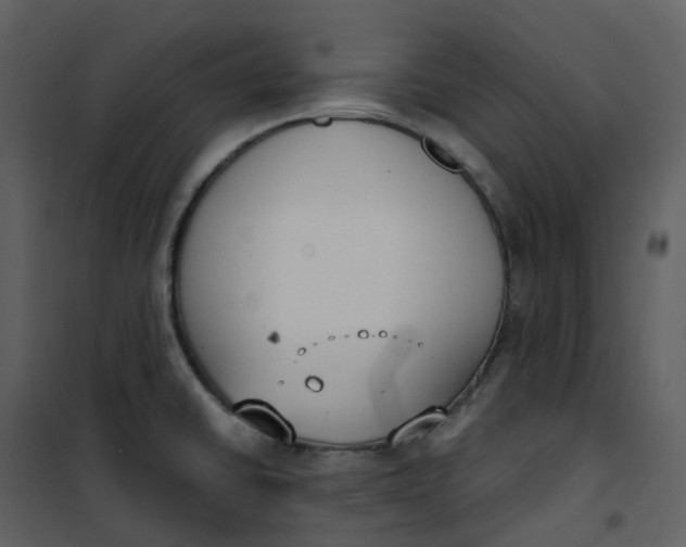 X0000101201430200807181524