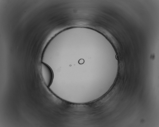 X0000101201432200807181524