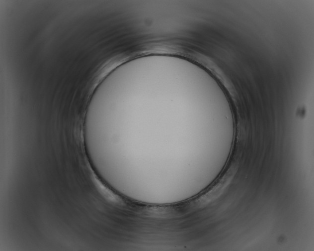 X0000101201433200807181524