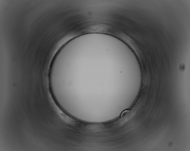 X0000101201434200807181524