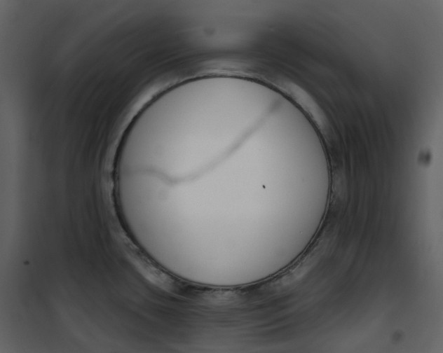 X0000101201435200807181524