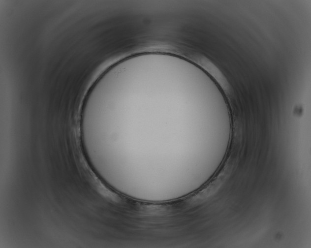 X0000101201436200807181524