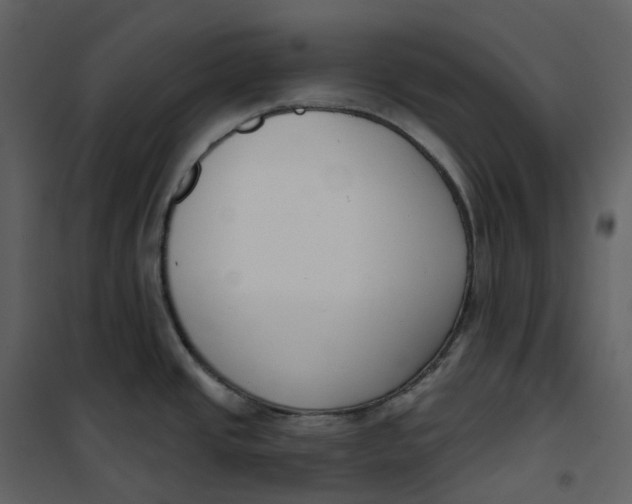 X0000101201437200807181524