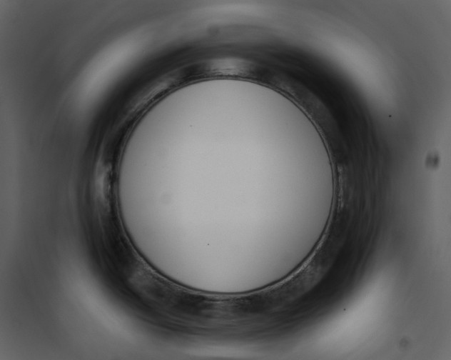 X0000101201438200807181524