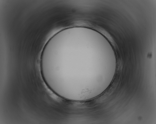 X0000101201439200807181524