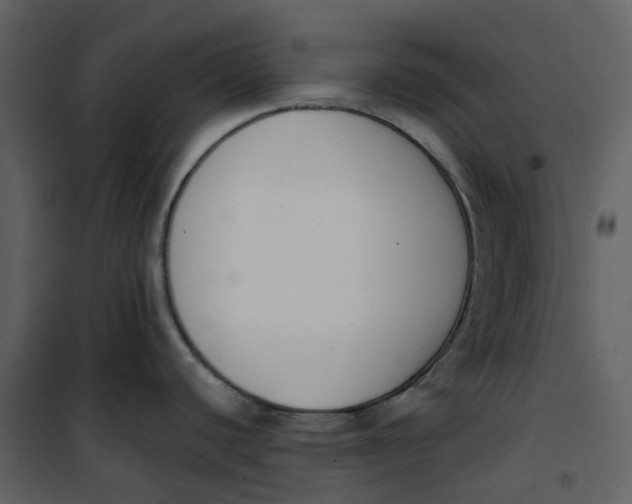 X0000101201440200807181524