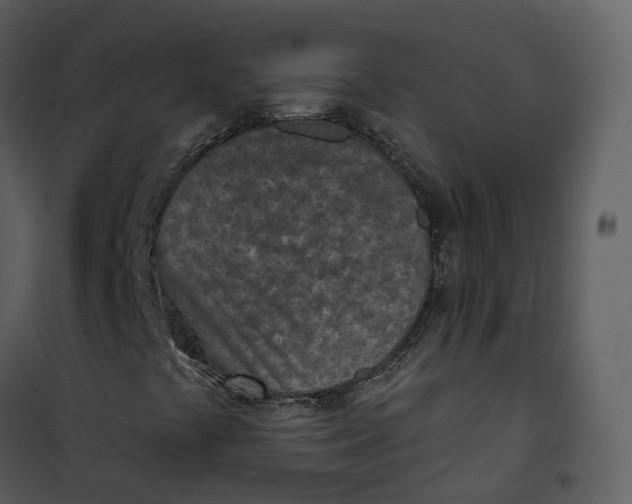 X0000101201441200807181523