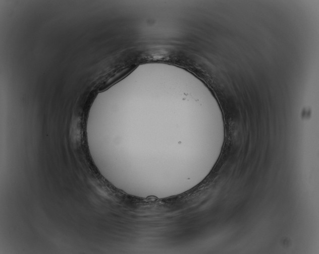 X0000101201442200807181523