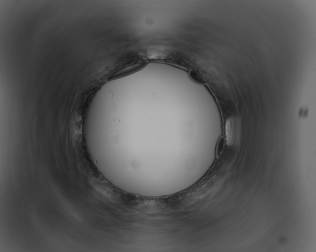 X0000101201443200807181523