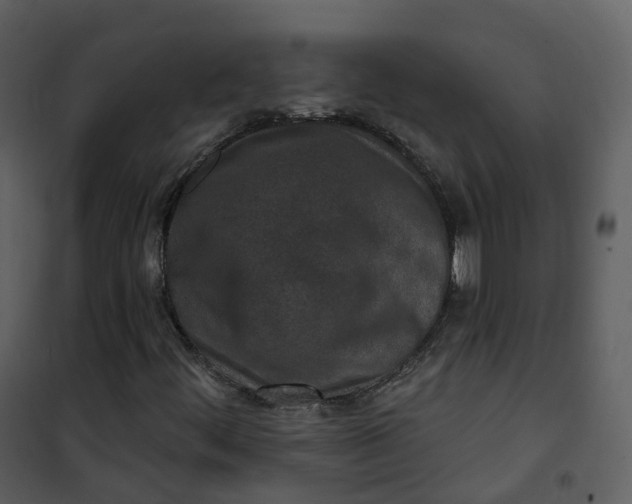 X0000101201444200807181523