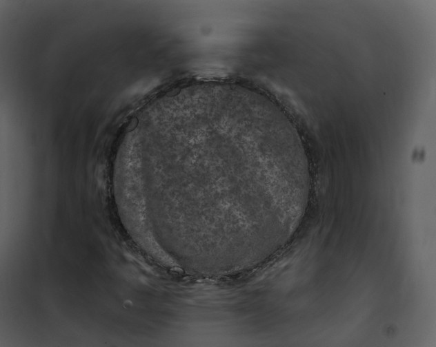 X0000101201445200807181523