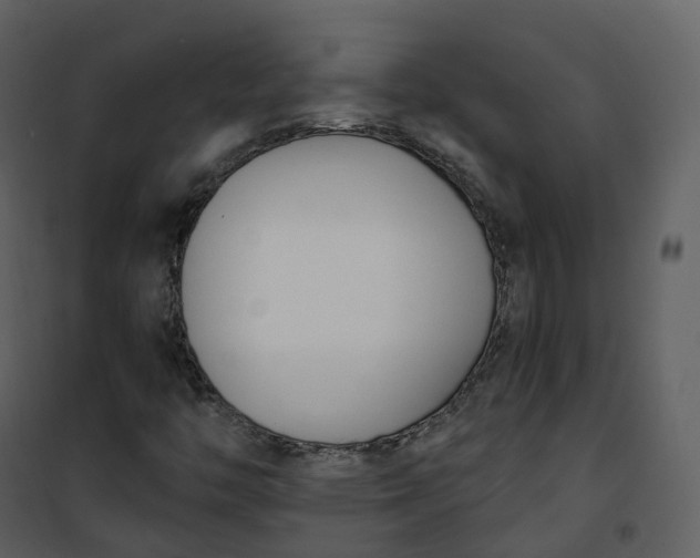 X0000101201446200807181523