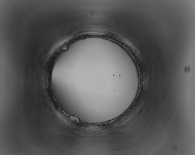 X0000101201448200807181523