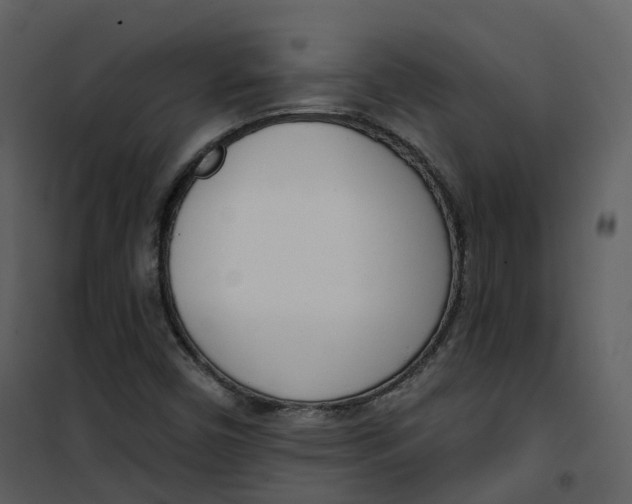 X0000101201450200807181523