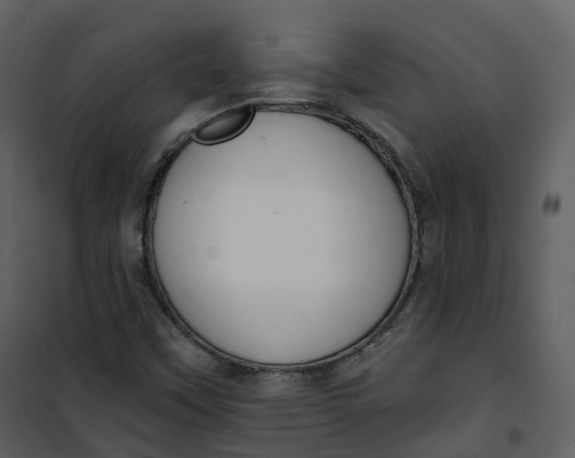 X0000101201451200807181523