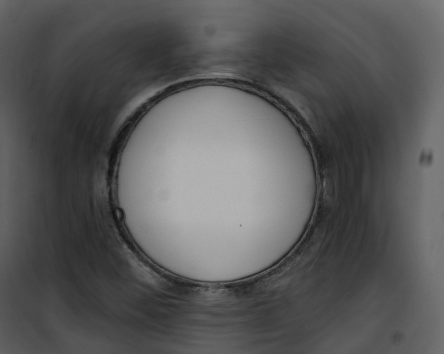 X0000101201452200807181523