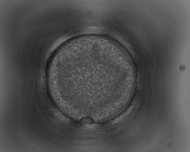 X0000101201453200807181523