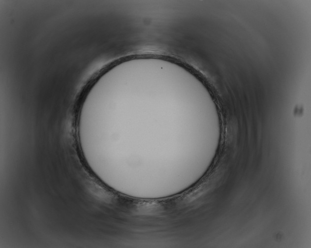 X0000101201454200807181523