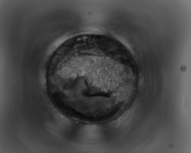 X0000101201455200807181523