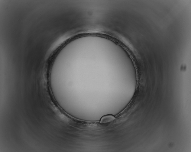 X0000101201456200807181523