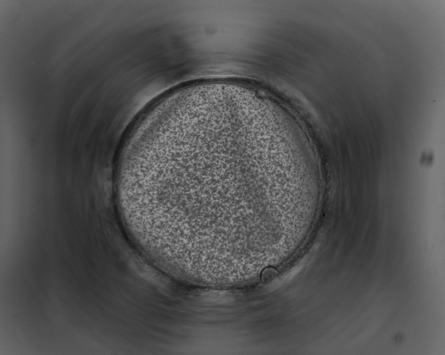 X0000101201457200807181523