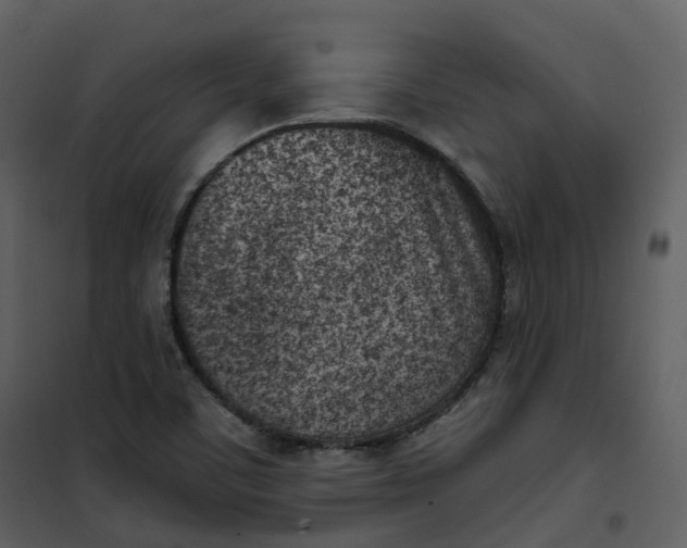 X0000101201459200807181523