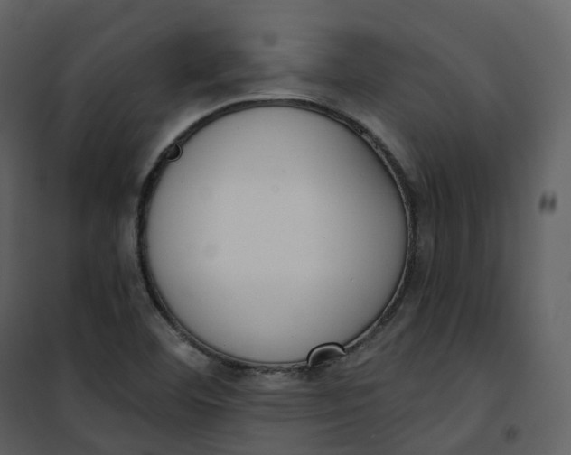 X0000101201460200807181523