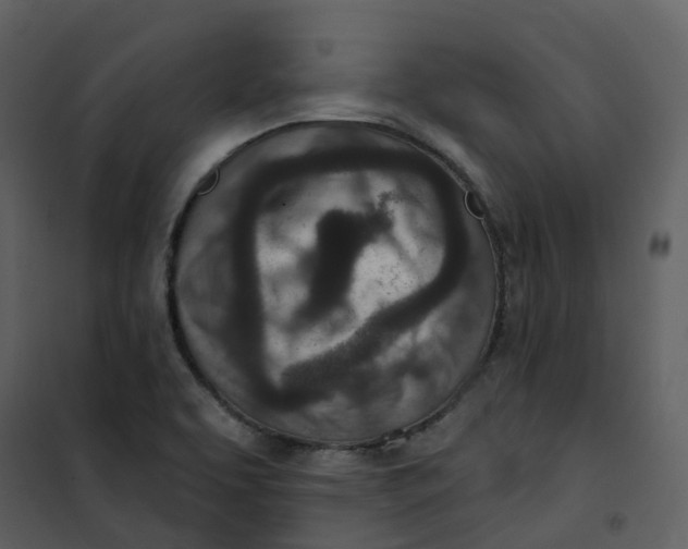 X0000101201463200807181523